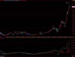 000858（000858代码有意义吗？）