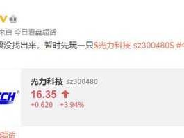 300480（300480芯片龙头股？）