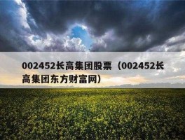 002452长高集团，长高集团是私企还是国企？