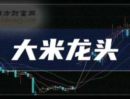 股票002024（大米上市公司龙头排名？）