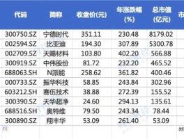 三元股份年报 特斯拉中国占多少股份？
