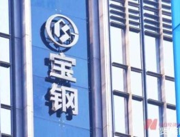 宝钢股份吧，你觉的宝钢怎么样？