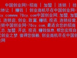 78商务网 目前国内做的好的招商网站有哪些？