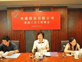 申能股份有限公司，申能股份属于核能概念吗？