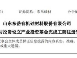 东岳硅材？东岳硅材是国企吗？