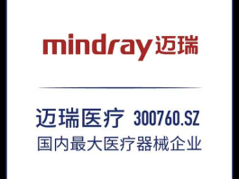 迈瑞医疗？迈瑞医疗英文缩写？