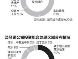 淡马锡（请问什么是淡马锡模式？）