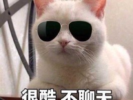 我酷网，别人夸我酷怎么回复？