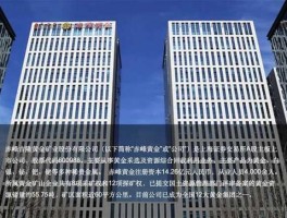 赤峰黄金（赤峰黄金这家公司如何？）