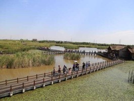 杭州湾湿地公园？杭州湾湿地公园怎么样？