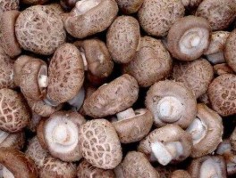 香菇价格？今年香菇市场价格是多少？