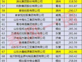 鲁北化工集团（山东省的化工企业500强有哪些？）