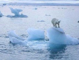 环境污染的资料 世界面临的十大环境问题是哪些？