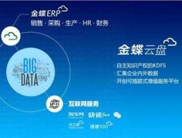 车商悦，金蝶云是什么系统？