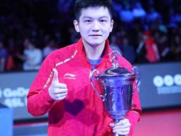 樊振东（樊振东基本资料？）