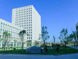 300259股票 新天科技有限公司怎么样？