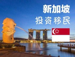新加坡移民多少钱（新加坡移民多少钱2022）