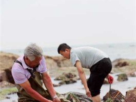 三三互动（三三赶海直播是真的吗？）