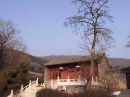 西峰寺 门头沟有个什么寺院？