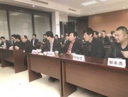 马后炮队长（怎样当好农村支部书记？）