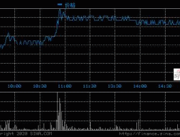 东旭光电股票 东旭光电股票属于哪类型股？