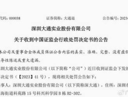 000038？000038深大通主营业务？