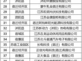 002585股票（宿迁上市公司名单？）