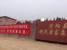 温氏公司，盐山温氏畜牧有限公司怎么样？