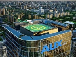 智能电表上市公司（奥克斯公司成立于哪一年？）