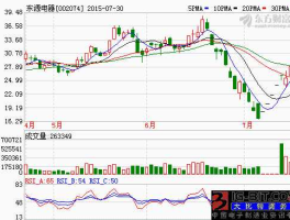 东源电器股票 国轩电池有限公司是国企吗？