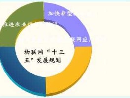 物联网十二五规划？中国十二五规划重点发展项目有哪些项目？