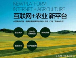 鸭梨网 在农村创业好项目致富点子网？