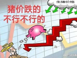 猪肉价格再次下跌？猪肉价格回落连续下跌原因是什么？