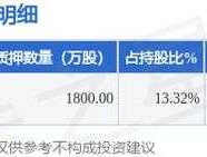 美瑞新材中签号（国内tpu的龙头股？）