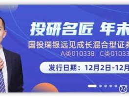 国投成长 国投瑞银远见成长值得买吗？