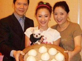 贵太太，陈岚为什么叫向太？