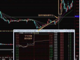 600385股票？沪深股市中历史上连续涨停板最多的是哪只股票？