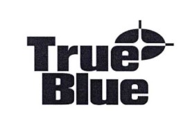 trueblue？与true押韵的词？