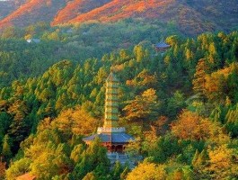 香山怎么去 怎么坐车去香山公园比较快的那种？