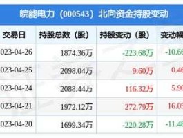 000543皖能电力（电力股都有哪些？）