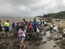 古雷半岛，漳州赶海必去的十个地方？
