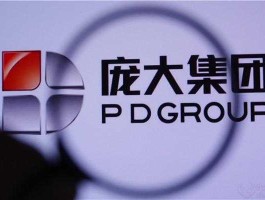 庞大集团上市（庞大退市后自动确权吗？）