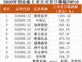 300294股票 创业板的股票都有哪些？