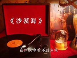沙漠海（有关大海的歌曲？）