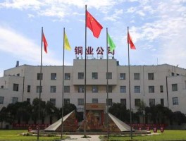 金川公司吧，金川集团股份有限公司怎么样？