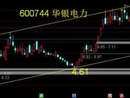 600744股票？华银电力百科？