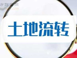 002679（土地流转概念股有哪些？）