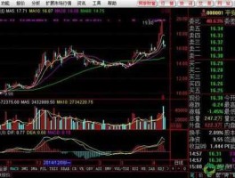 大同证券网上交易v6，大同证券最早什么时间挂单？