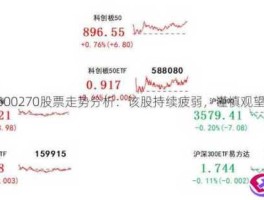 002351股票 edirier是什么牌子？