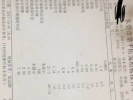 000008，cdn错误是咋回事那？